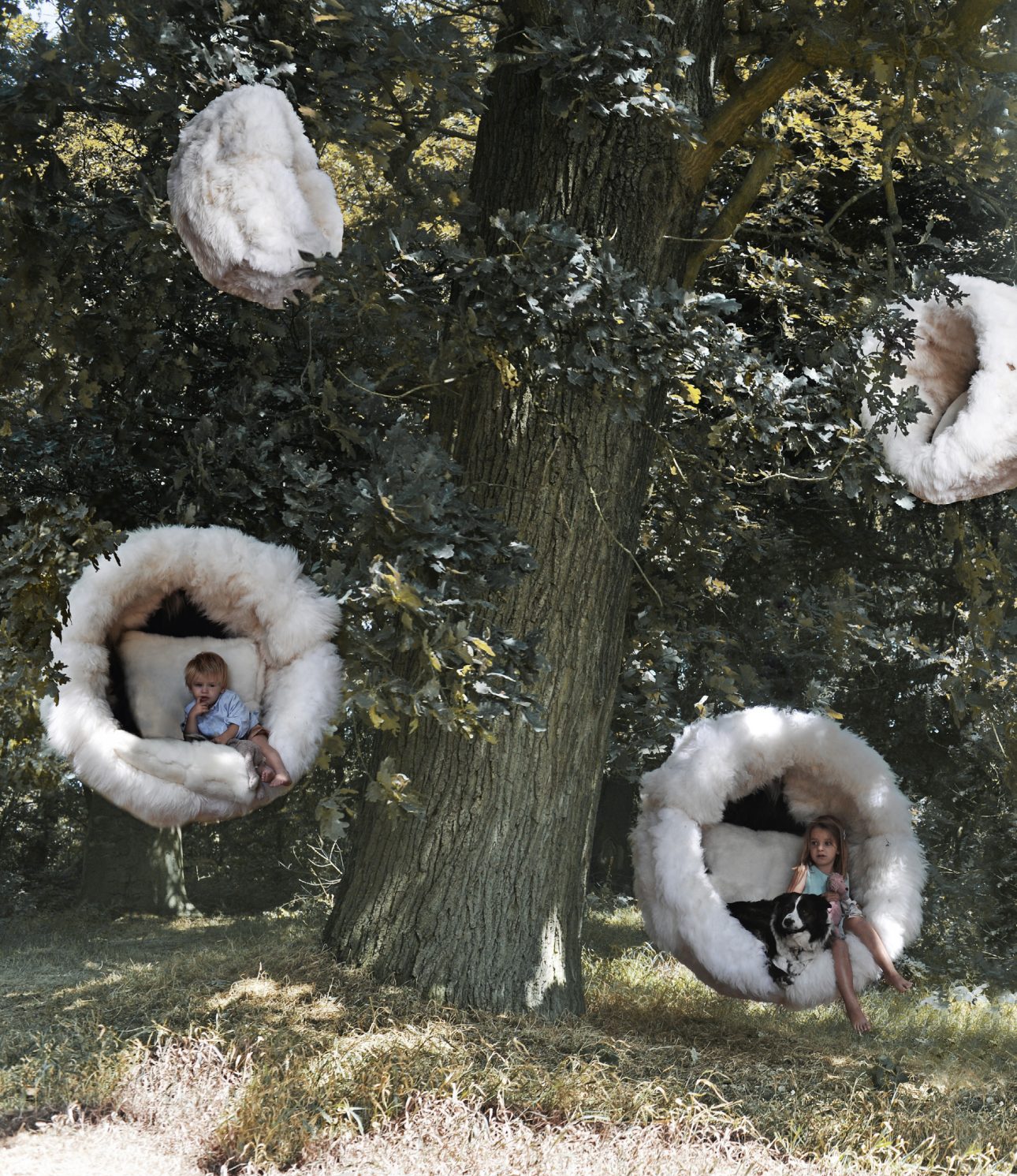 8900731-054-059-Felle-5